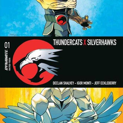Thundercats X Silverhawks #1 Cover A Declan Shalvey