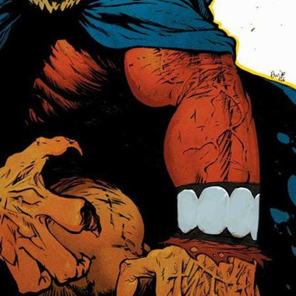 Demon #1 Cover B Daniel Warren Johnson Card Stock Variant