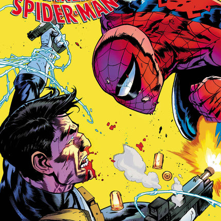 Punisher vs. Spider-Man #2